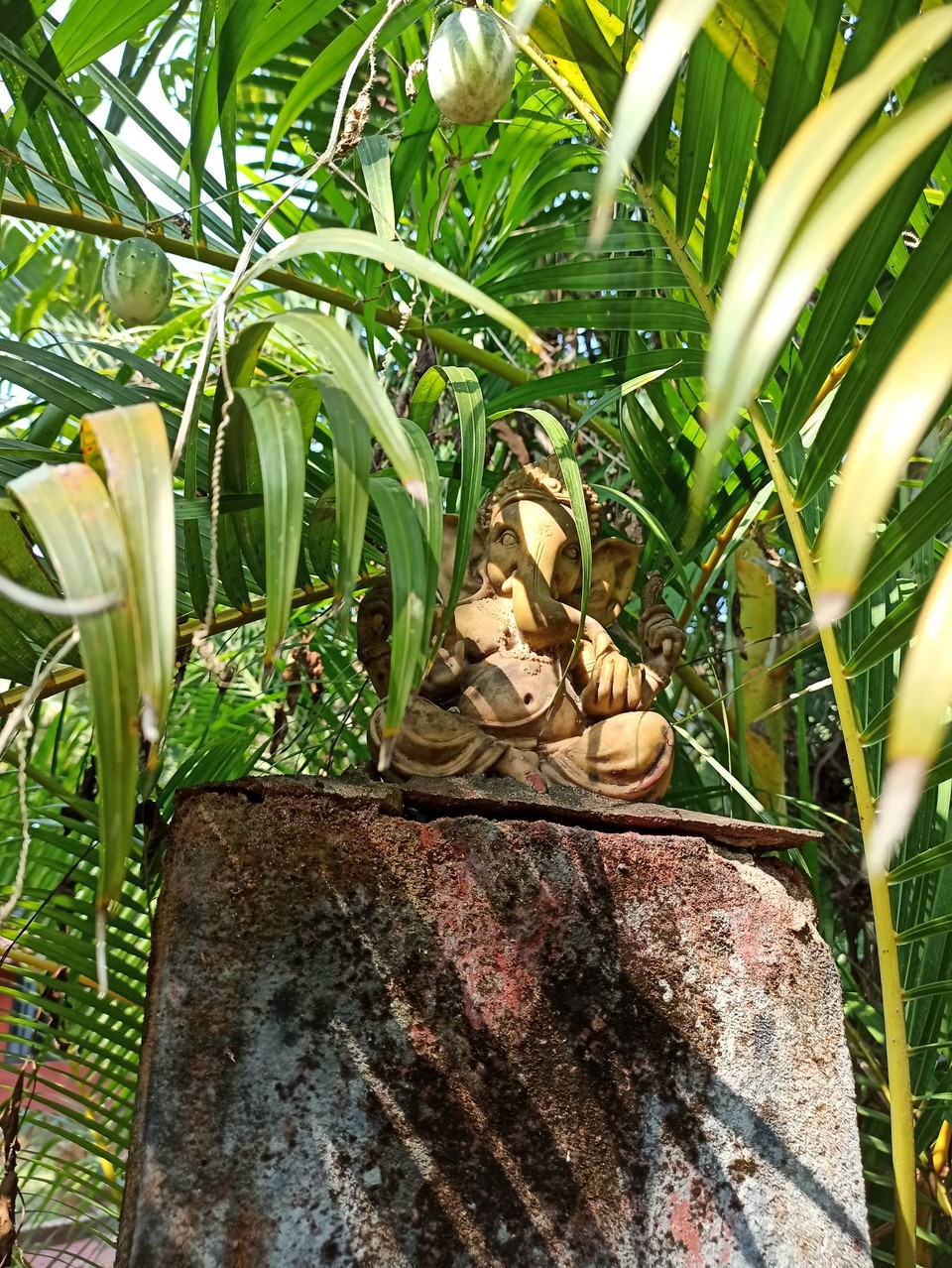 Indien - Canacona - Der Gott des Glücks versteckt sich - Ganesha unter Palmen☺✨
Sei mir hold! 🐘