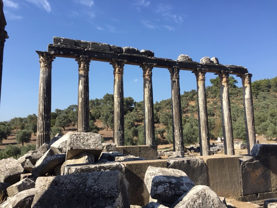 Türkei - Bodrum - Abseits noch ein sehr gut rthaltener Tempel 