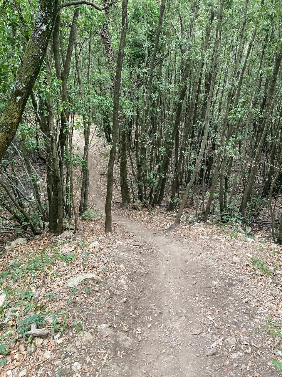 Italien - Roccastrada - 