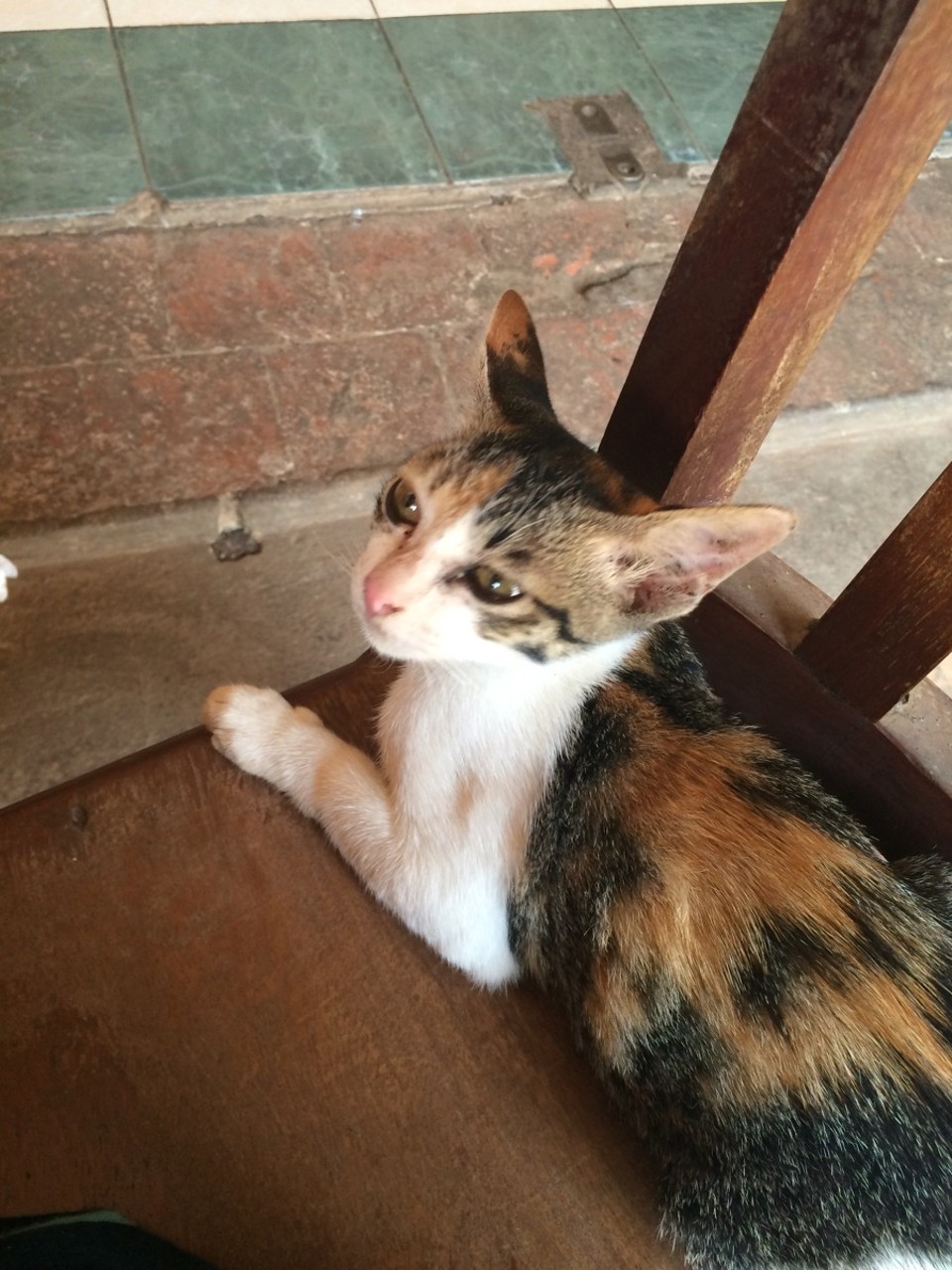 Laos - Luang Prabang - 