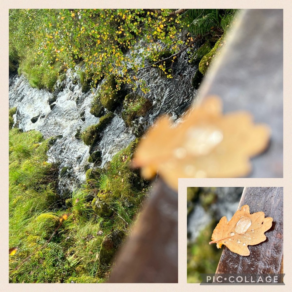 Vereinigtes Königreich - Bridge Of Orchy - 
