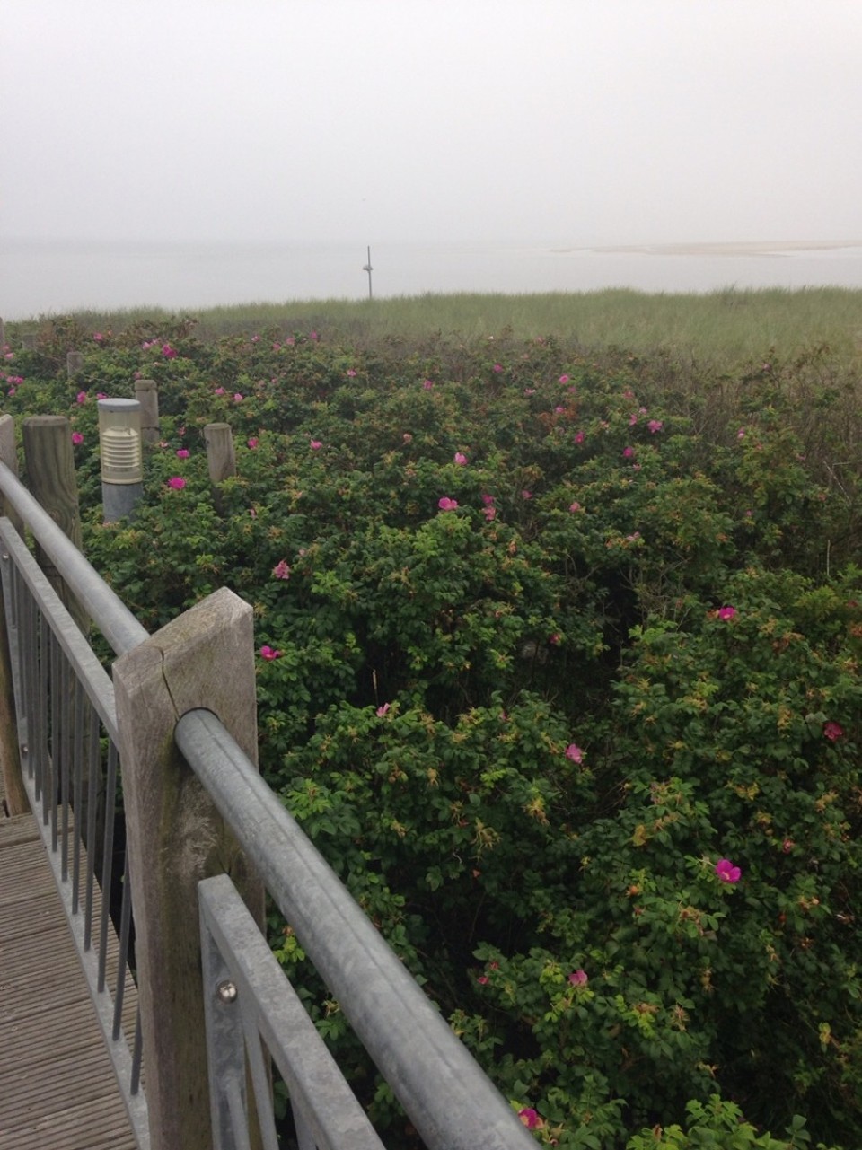Deutschland - Borkum - 5 minutes and you are at the SOUTH BEACH! and the waves of the open sea. You can see the great ships passimg by. That beach is situated near the old light house.