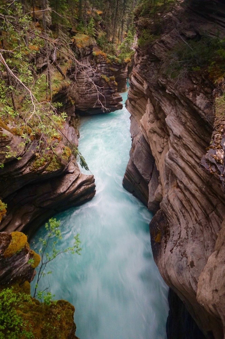 Kanada - Valemount - 