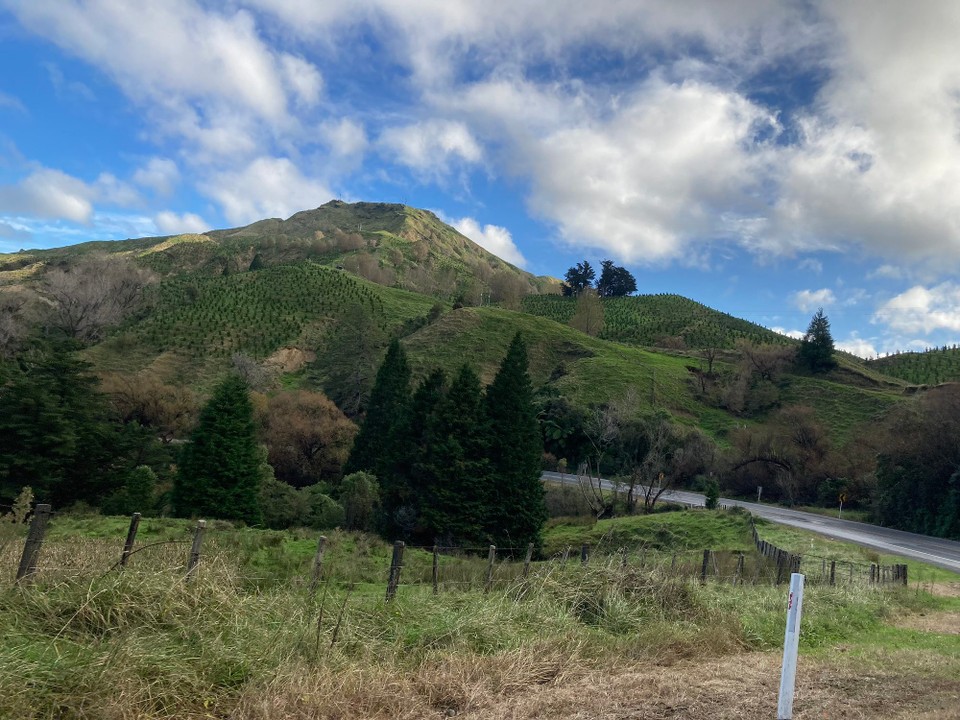 Neuseeland - Mahia - 