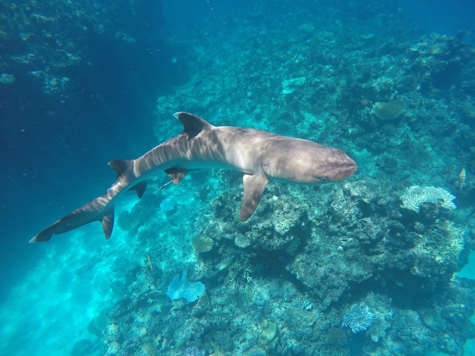  -  - Sooo cool! 🤩