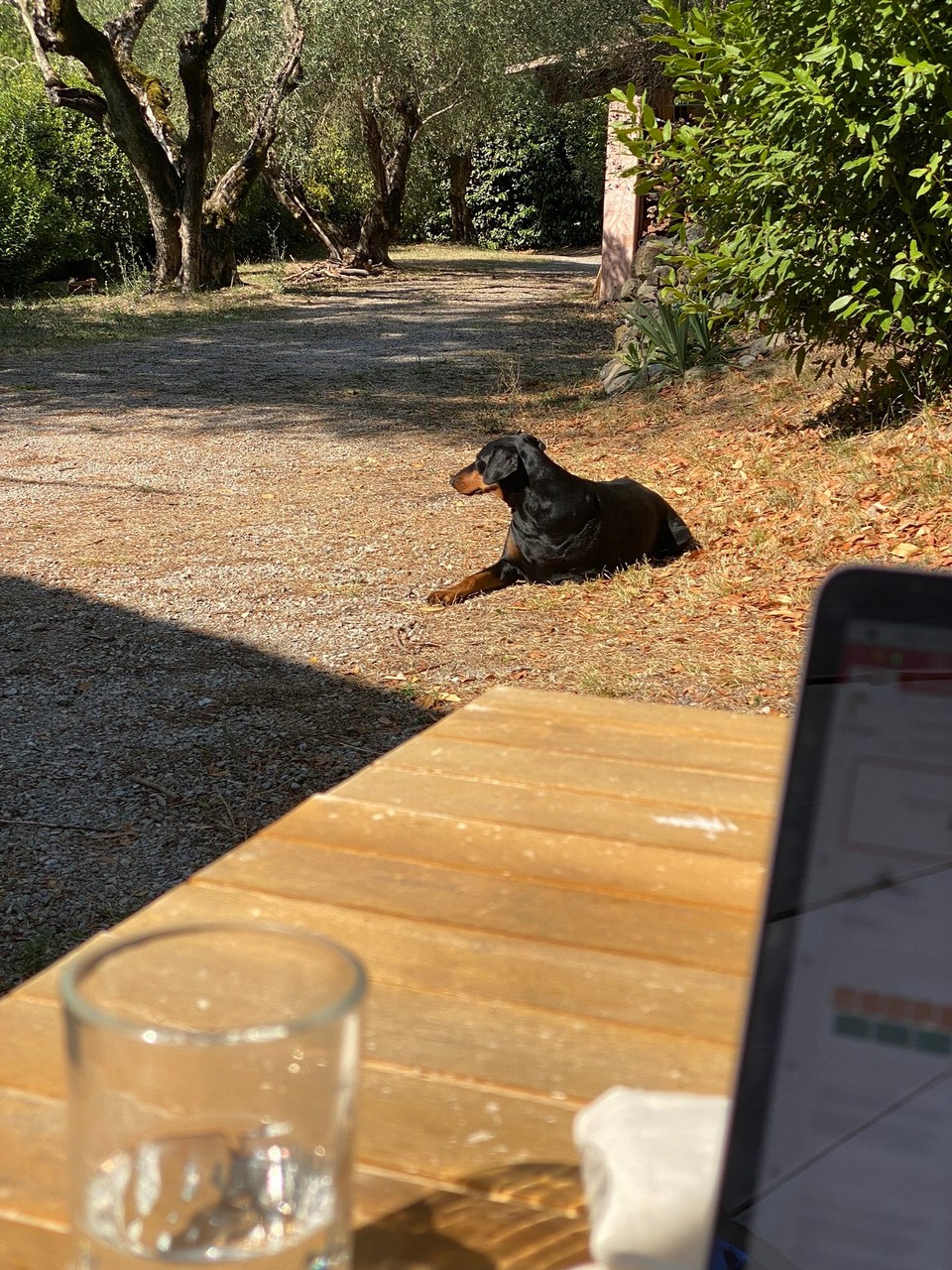 Frankreich - Tourrettes - 