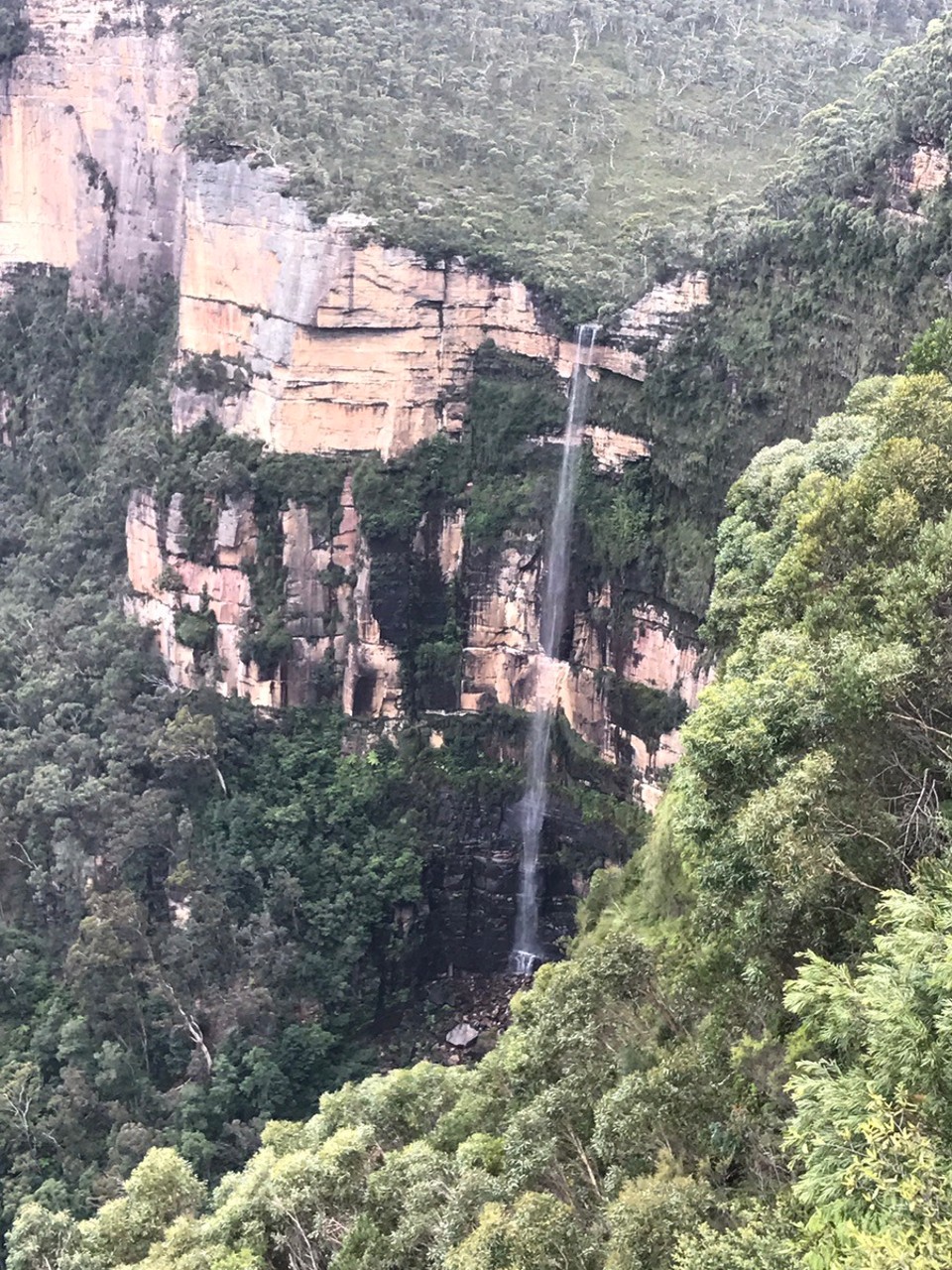 Australia - Katoomba - And one more of ole Govetts