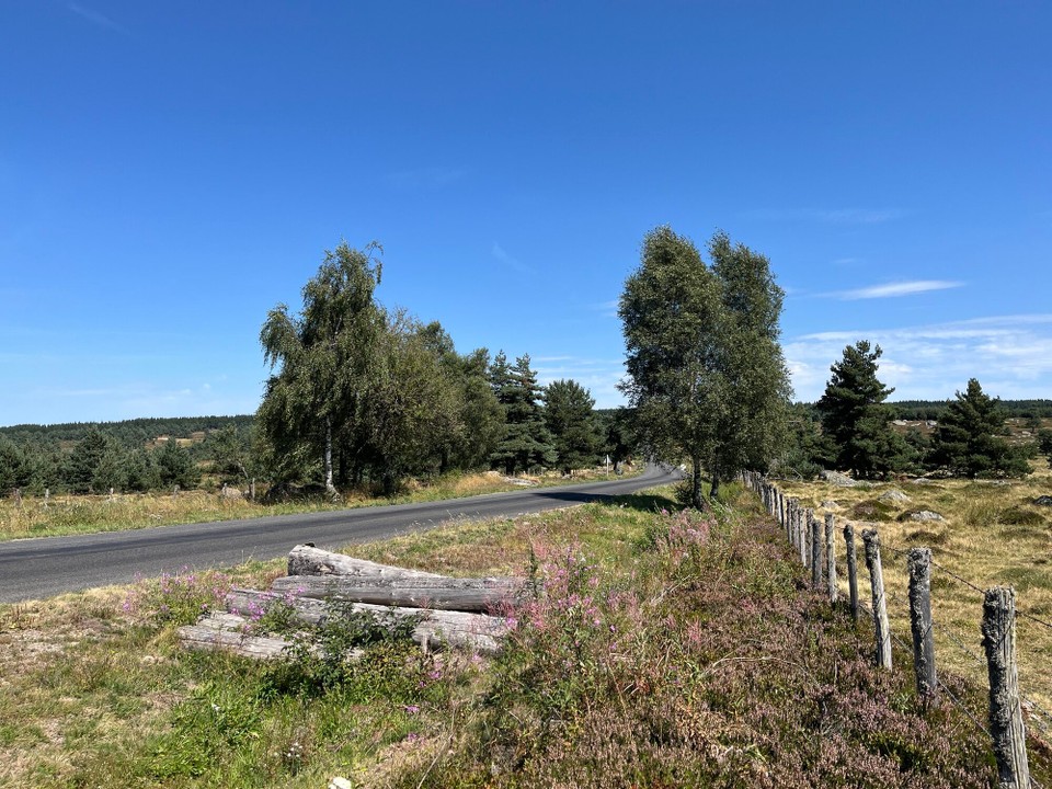 Frankreich - Carcassonne - 