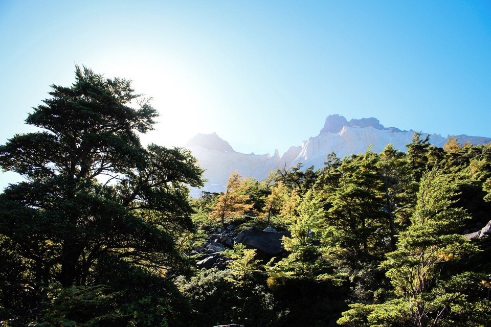 Chile - Torres del Paine - 