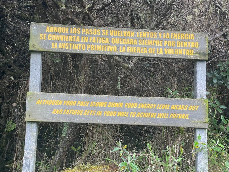 Costa Rica - Pérez Zeledón - Motivation am Wegesrand 💥