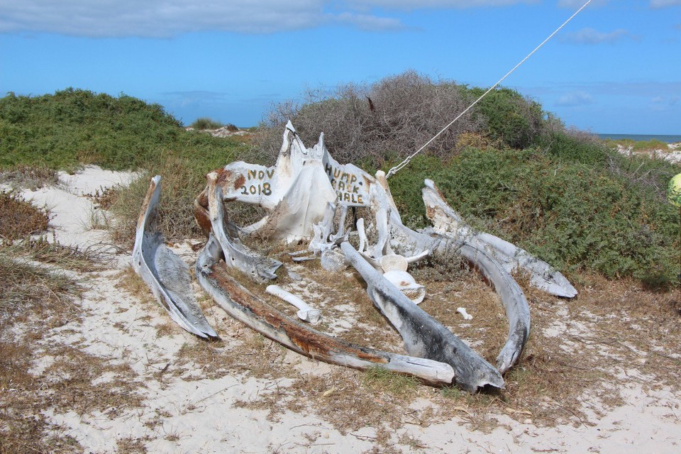 Australien - Lancelin - 