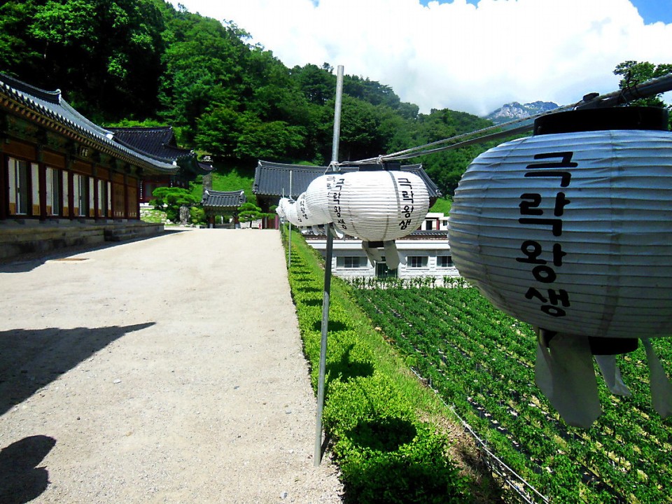 Südkorea - Hapcheon-gun - Haeinsa