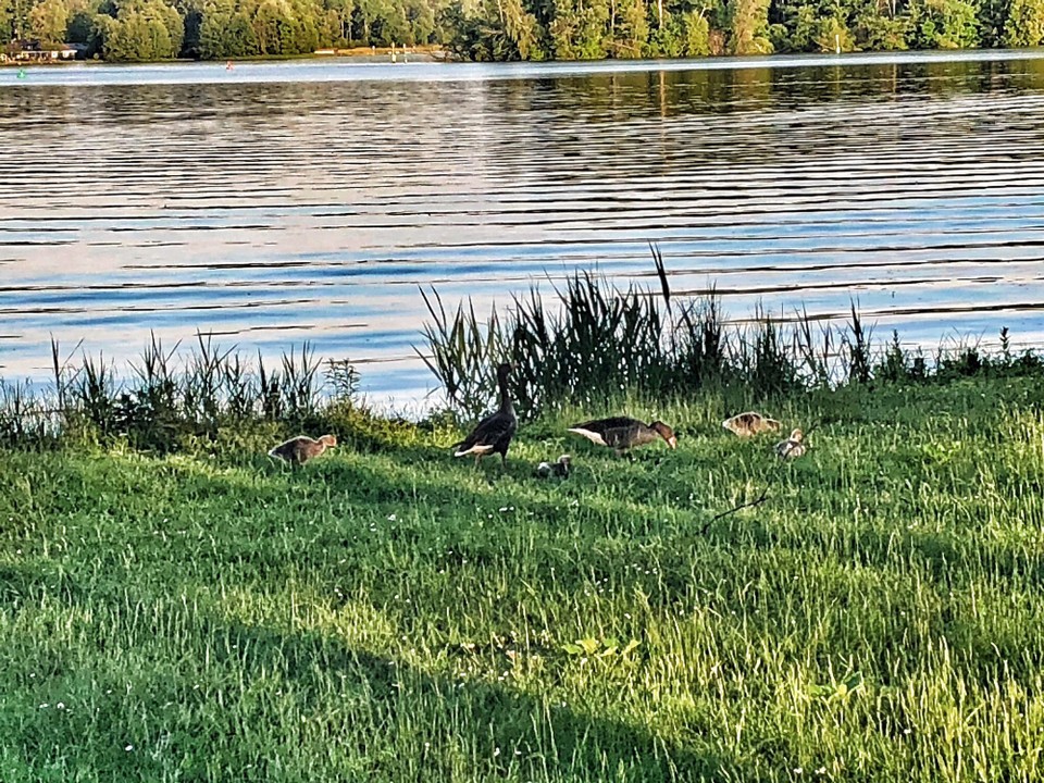 Deutschland - Bad Saarow - 