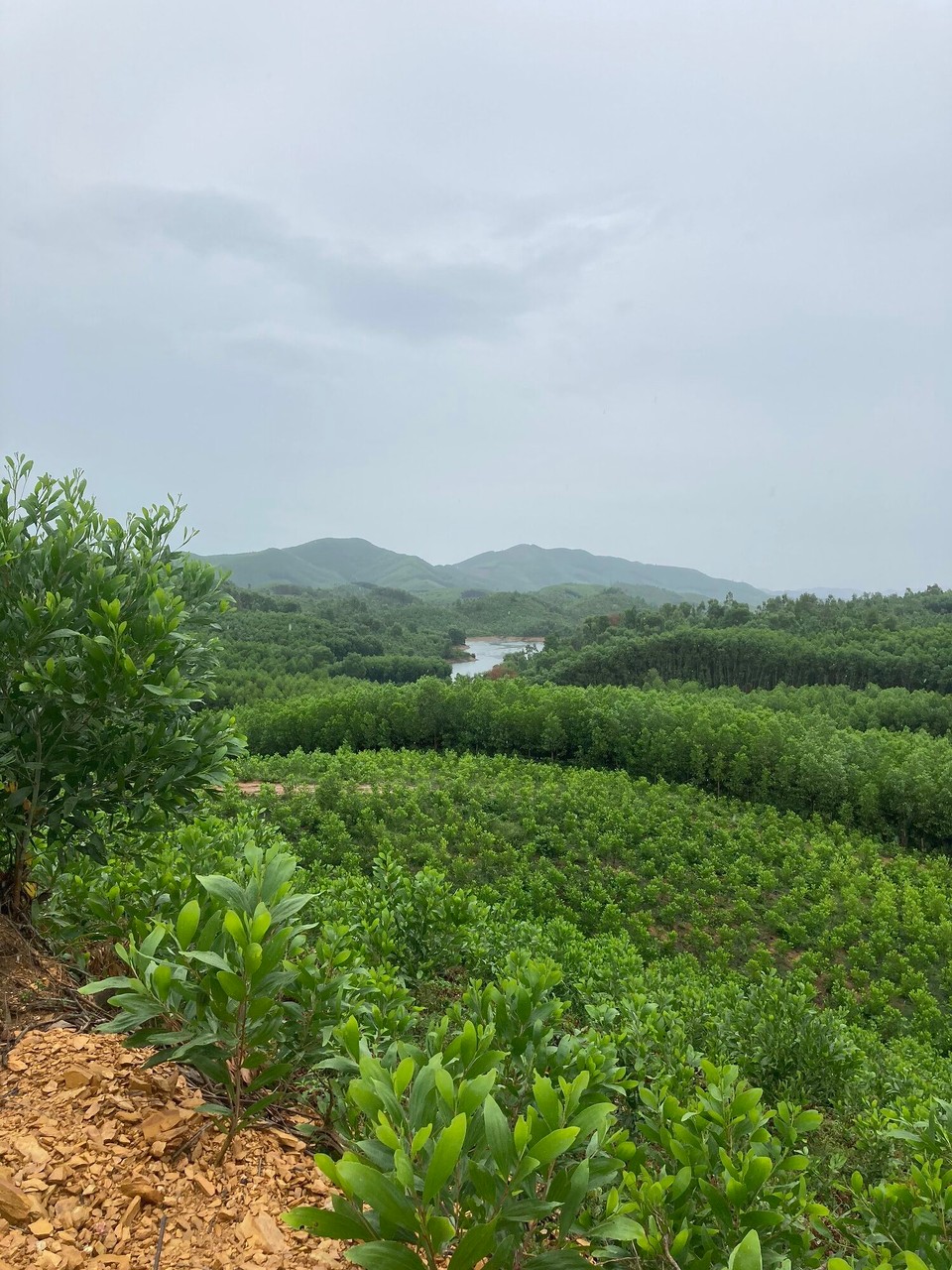 Vietnam - Bo Trach - 
