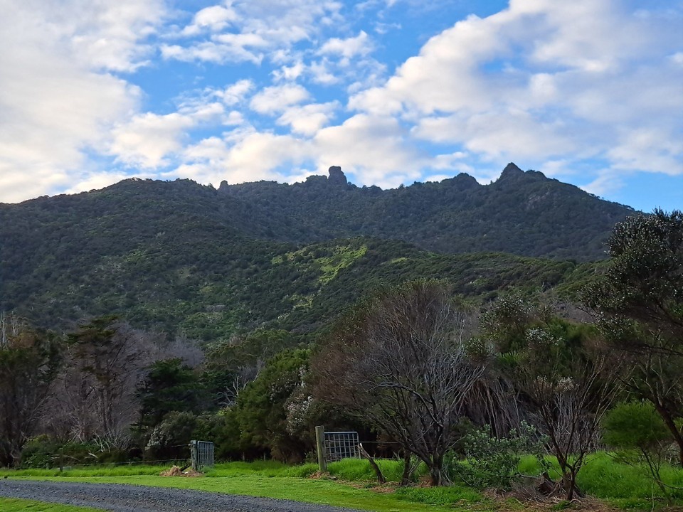Neuseeland - Ruakākā - Über diesen Berg geht heute die Tour 