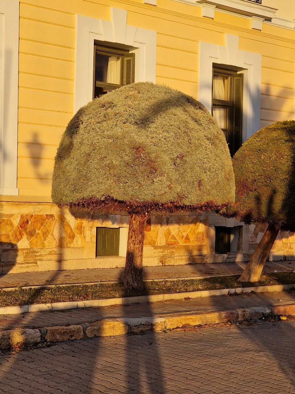 Griechenland - Euboea Island - 