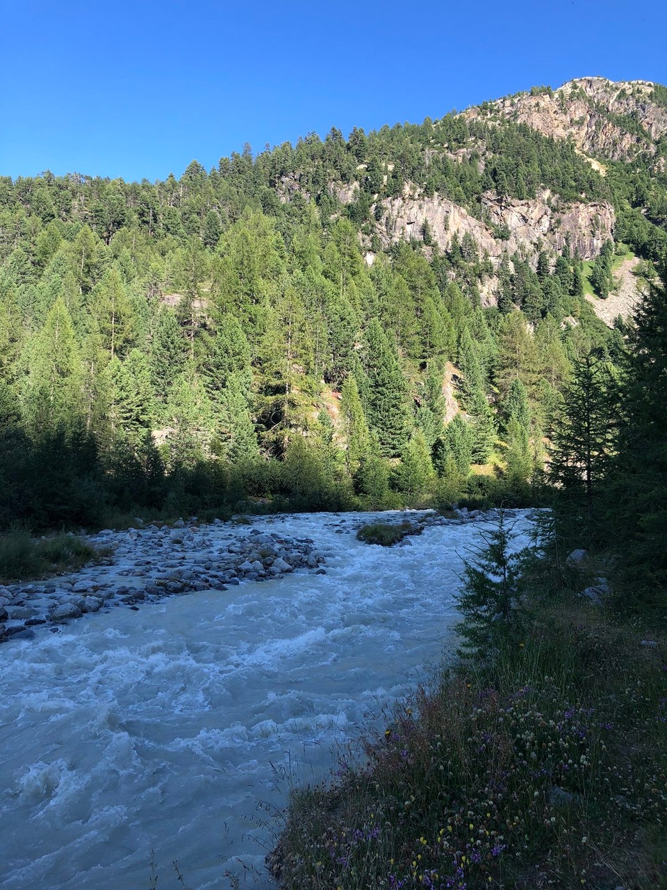 Schweiz - Pontresina - der Gletscherbach 