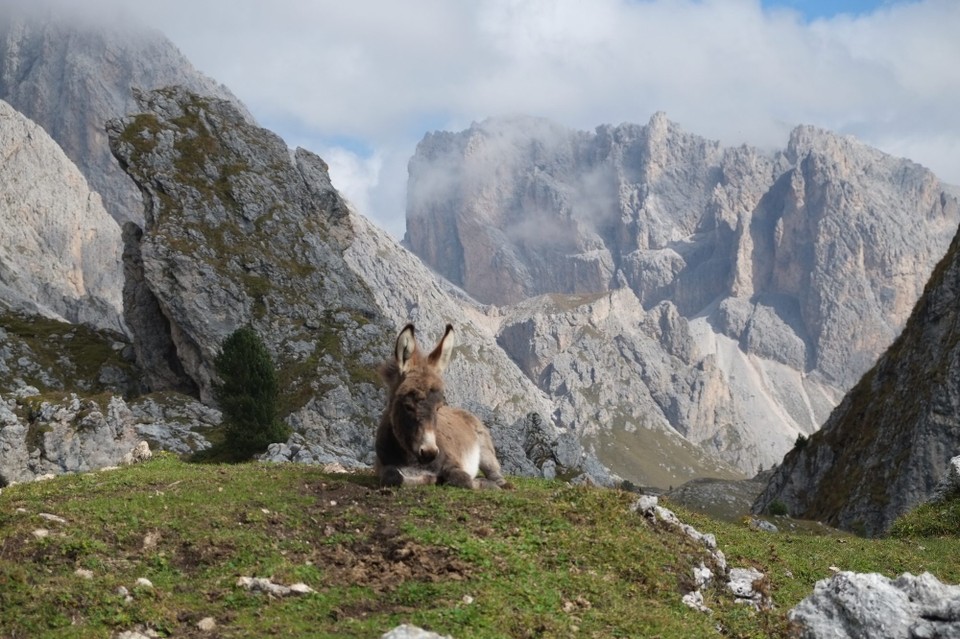 Italien - Wolkenstein in Groeden - 