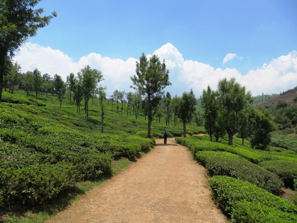 Indien - Sholur - 