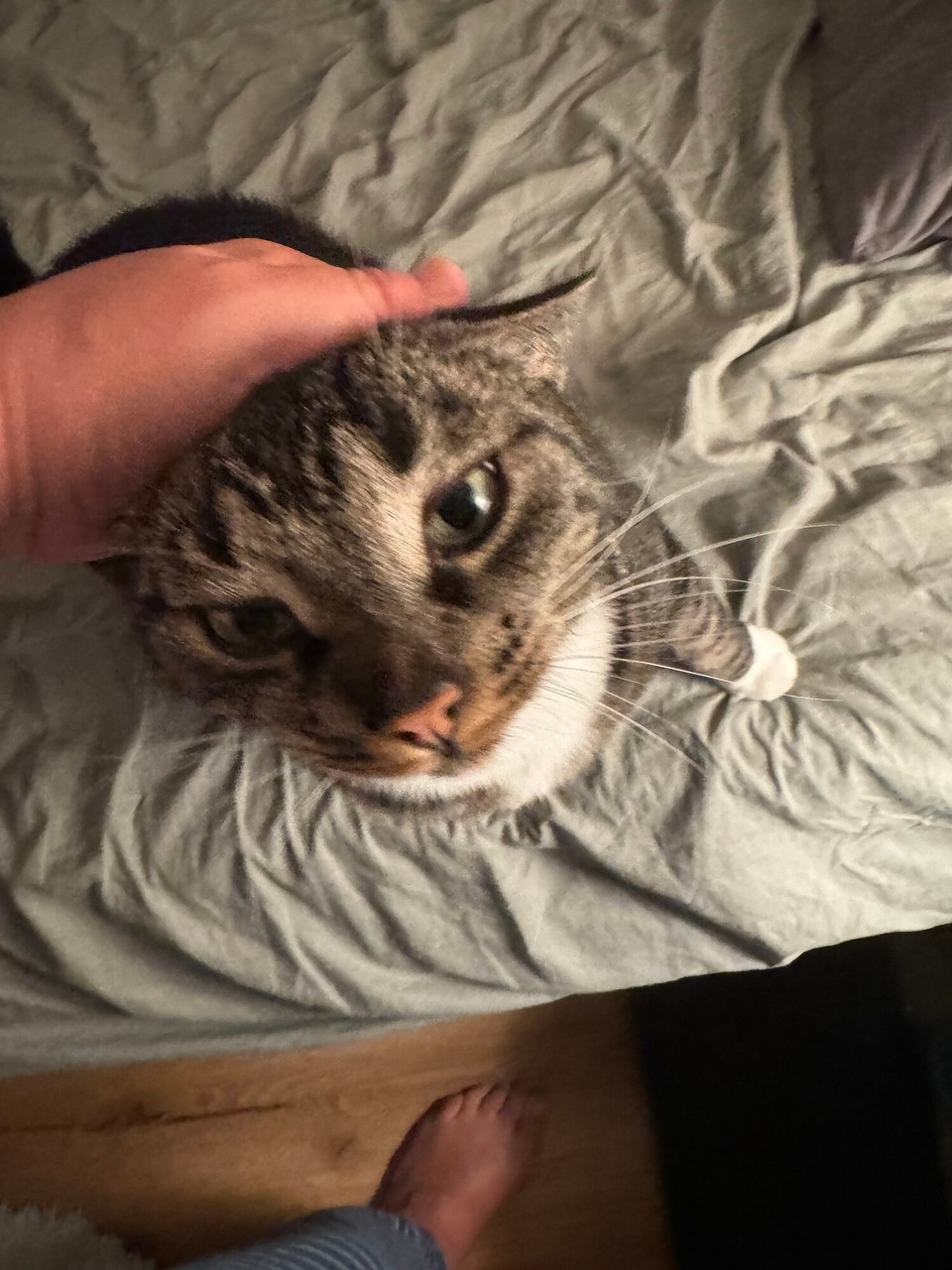 Deutschland - Reichshof - Und auch Söggi ist happy