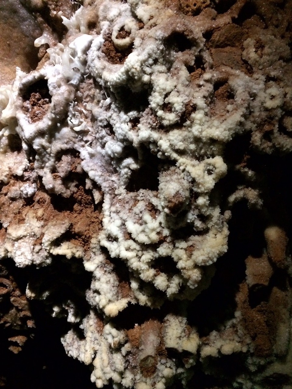 Australia -  - Buchan Caves. So many beautiful and incredible formations!