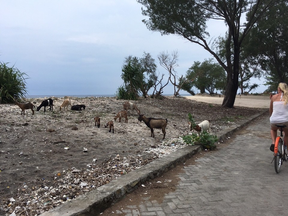 Indonesien - Lombok Utara - 