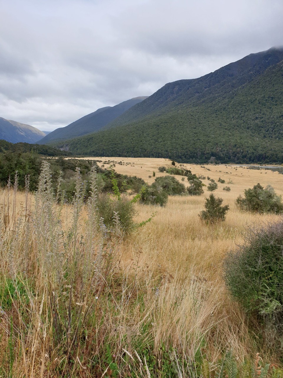 Neuseeland - Kaikoura - 