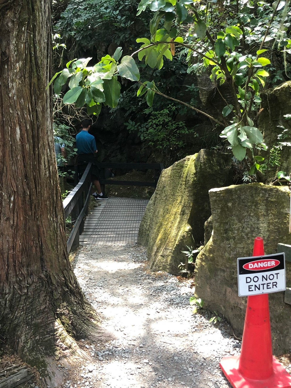 Neuseeland - Whangarei - Hier dahinter verbergen sich die Kawiti Glow Worm Caves, wo 15 000 Glühwürmchen leuchten. 