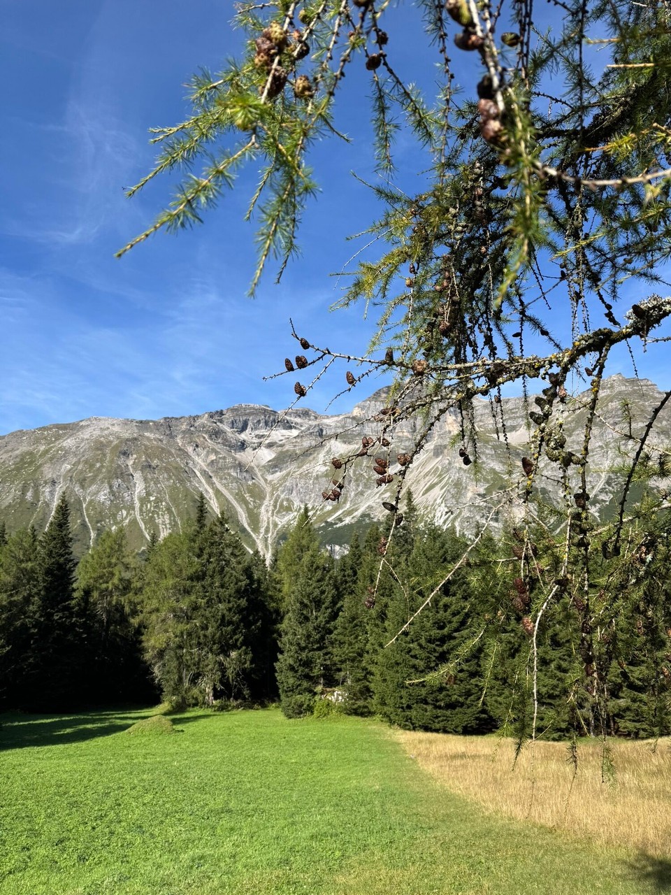 Österreich - Obernberg am Brenner - 