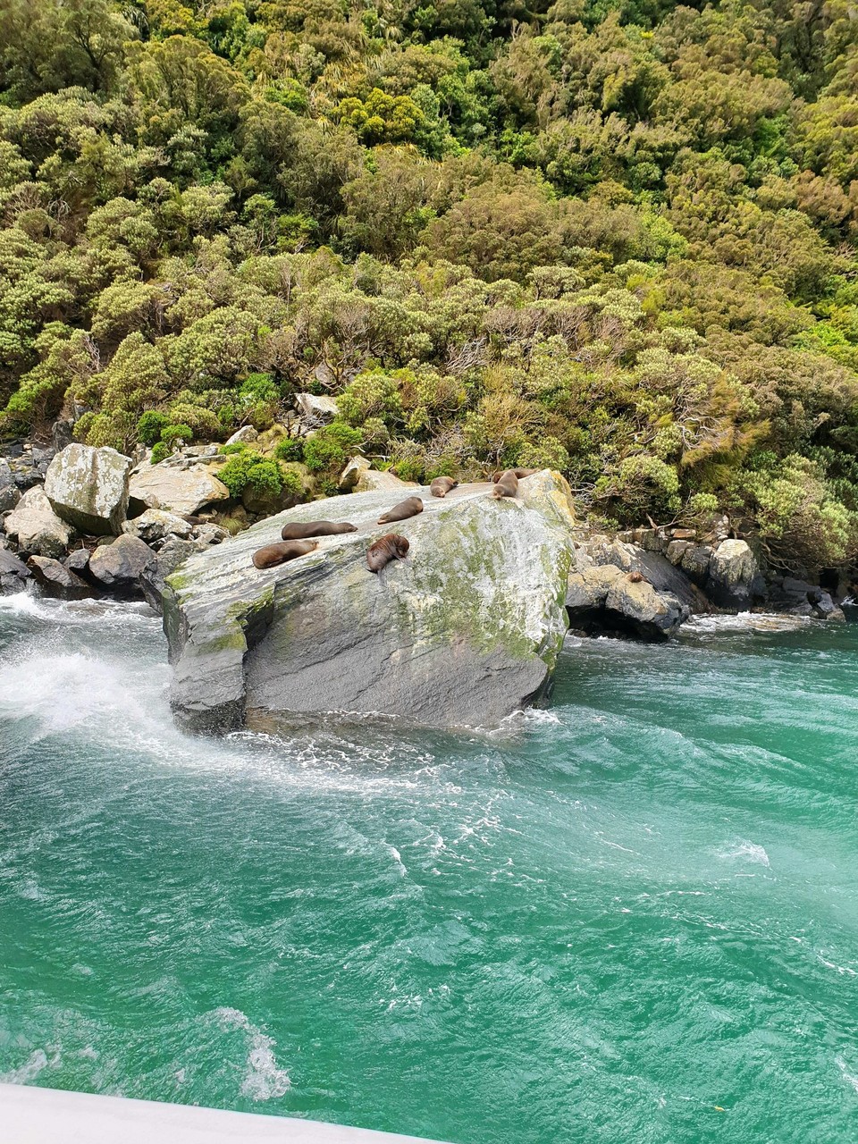 Neuseeland - Invercargill - 