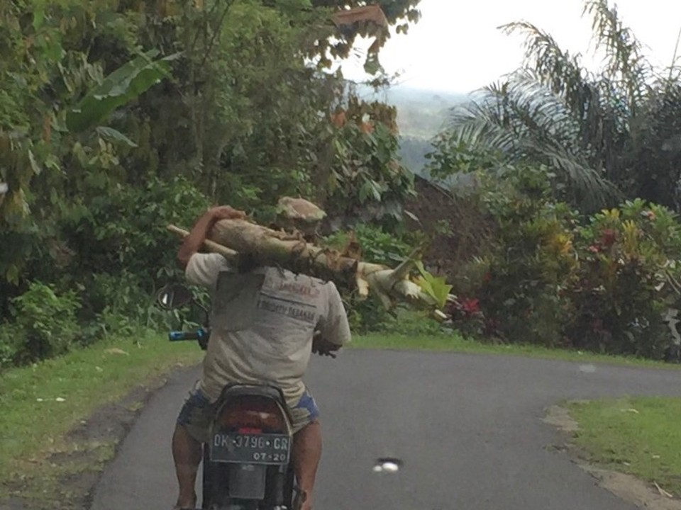 Indonesien - Banjar - Impressionen: Alles wird mit dem Scooter transportiert 