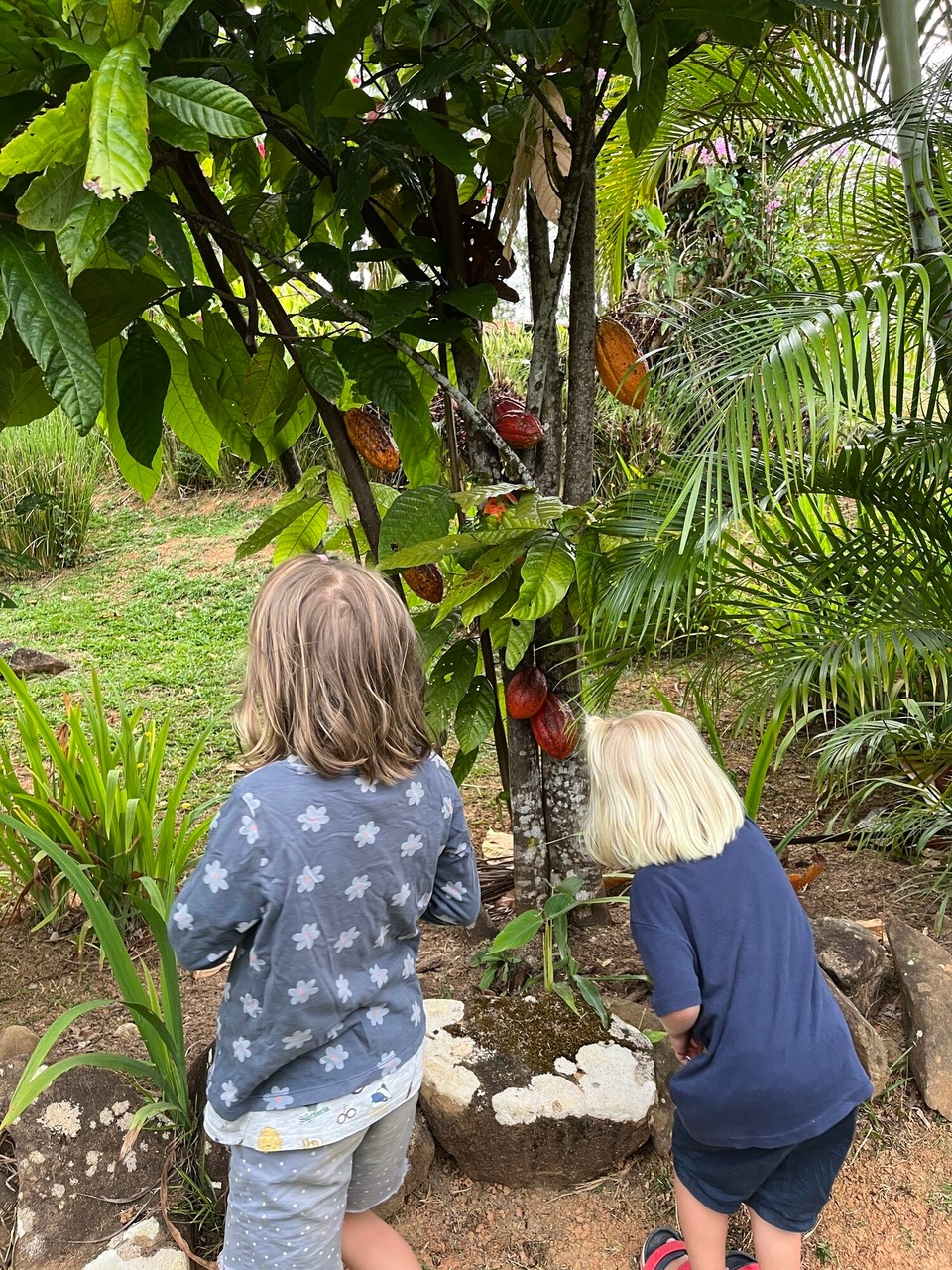 Panama - Santa Fé - Garten mit vielen Nutz- und Zierpflanzen.