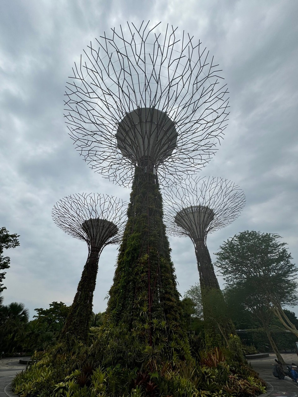 Singapur - Singapur - 