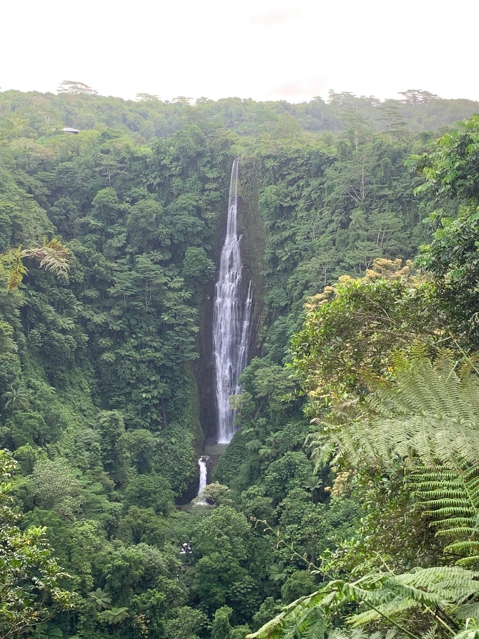 Samoa -  - 