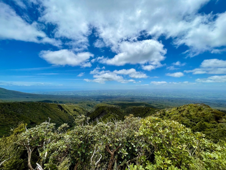 Neuseeland - Egmont National Park - 