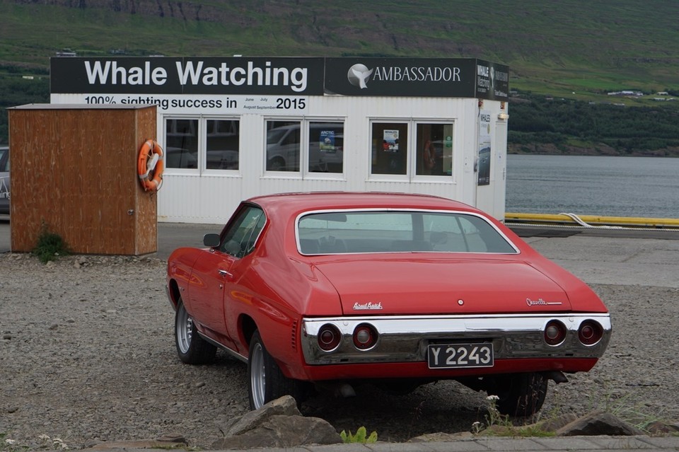 Island - Mývatn - 