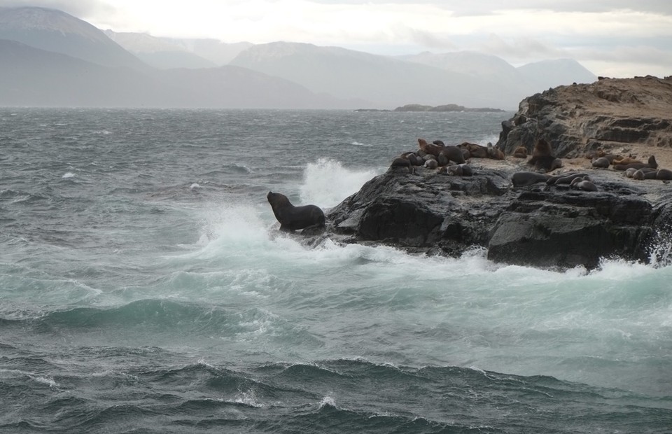 Argentina - Ushuaia - 