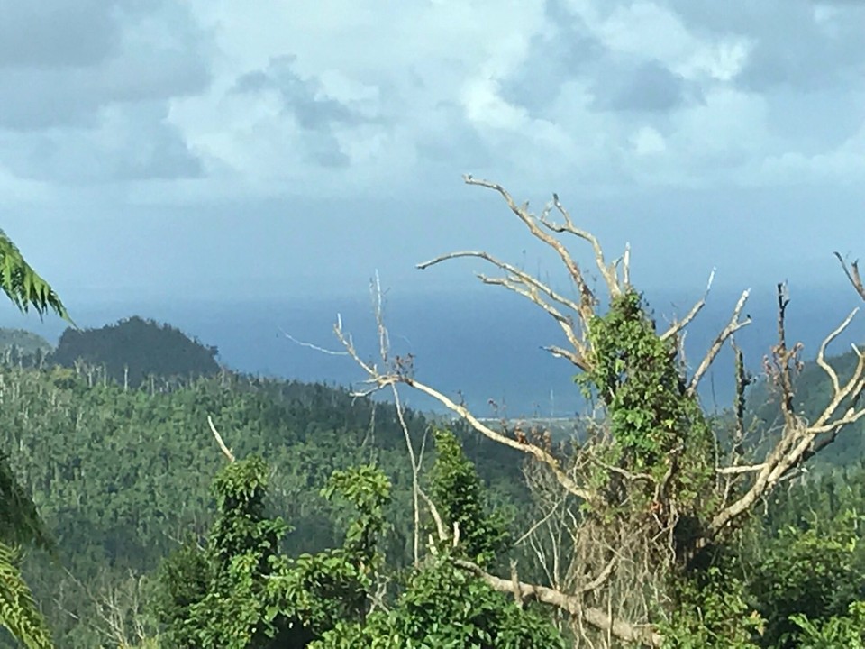 Dominica -  - 