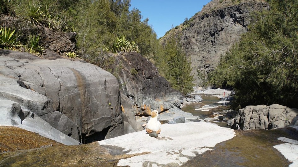 Réunion - Cilaos - Doretta! Spring!