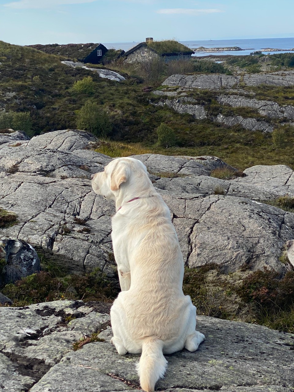 Norwegen - Averøy - 