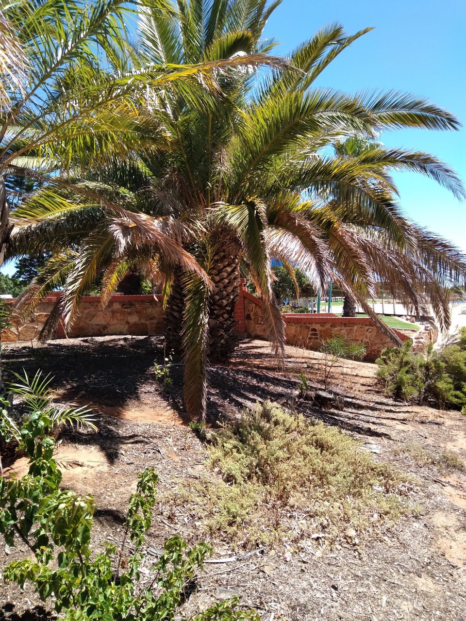 Australien - Port Pirie - 