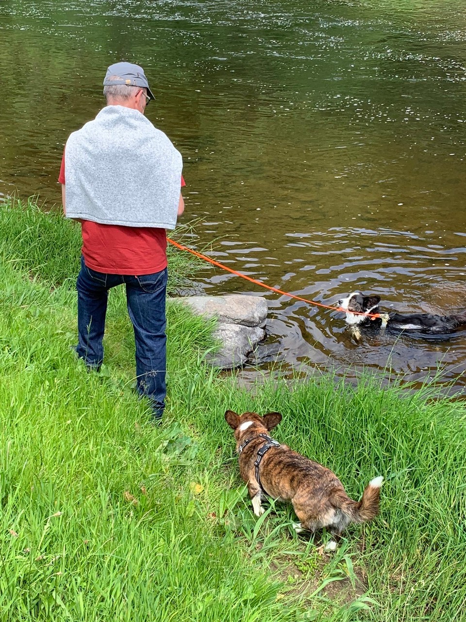 Vereinigtes Königreich - Huntly - So wi hie - när schwümmt er u luegt di mit grosse Ouge ah…