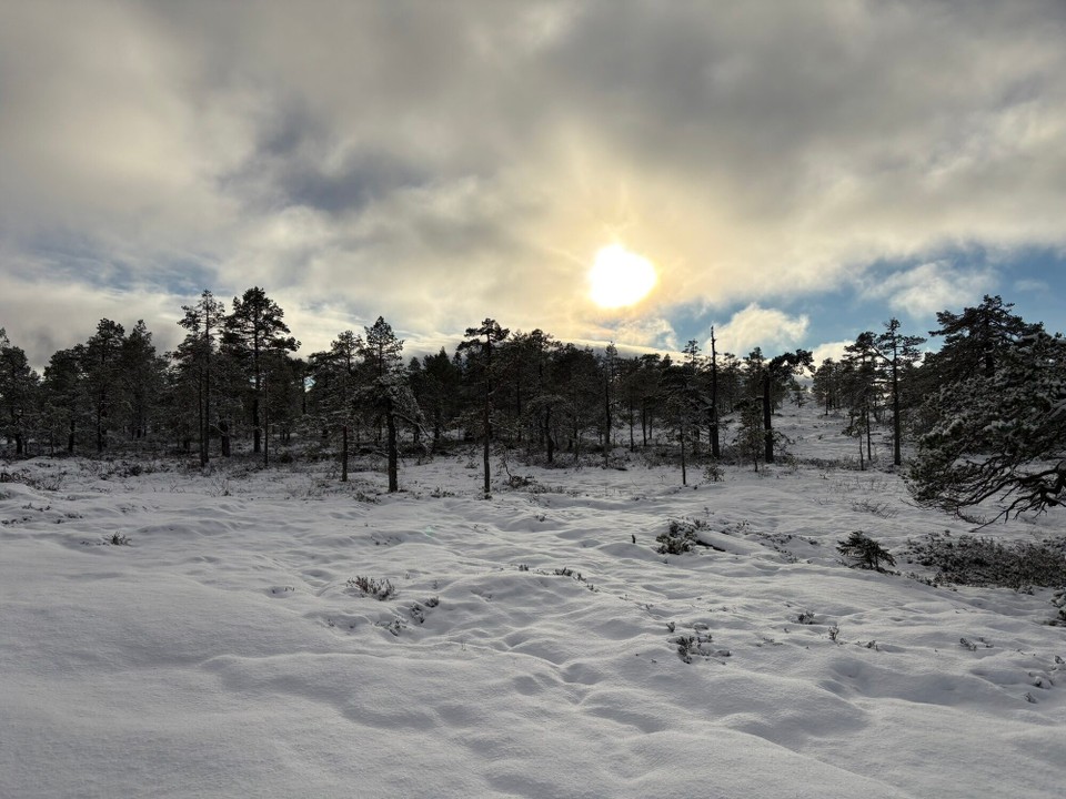 Schweden - Bjästa - 