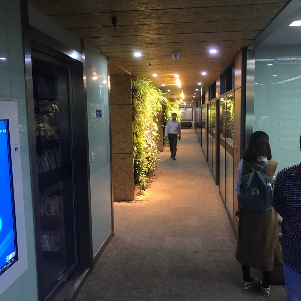 China - Hangzhou - Vertical Green > very much in fashion