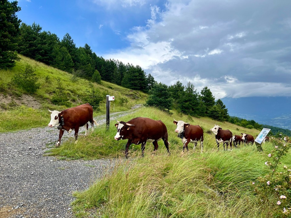 Frankreich - Embrun - 