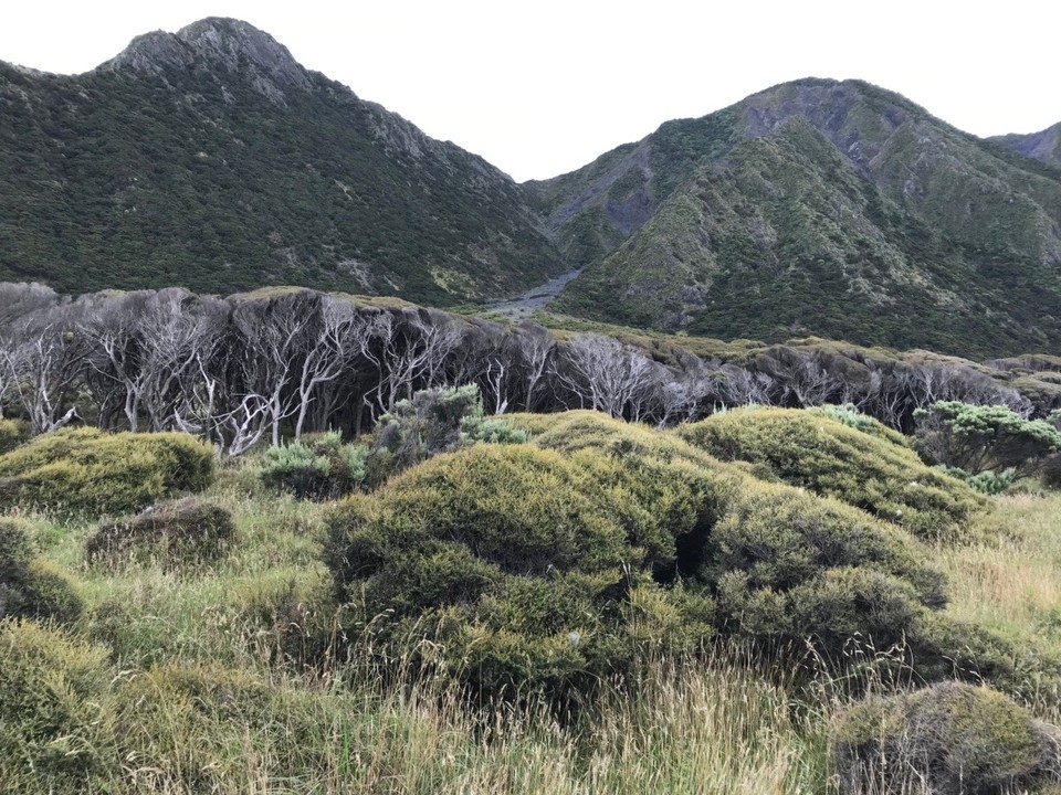 Neuseeland - Lake Ferry - Spaziergang am Cape Palliser 
