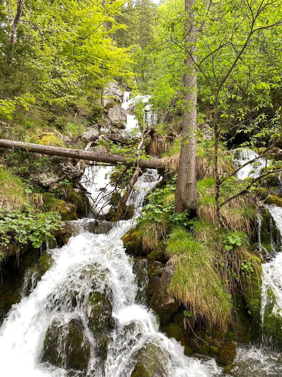Deutschland - Ramsau bei Berchtesgaden - 