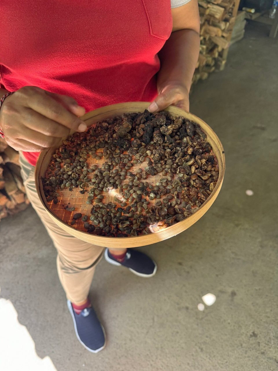 Indonesien - Tabanan - Kot des Fleckenmusangs. Dieser frisst Kaffeebohnen und scheidet sie wieder aus. Die Kaffeebohnen werden dann gewaschen und geröstet. Daraus entsteht einer der teuersten Kaffees der Welt.