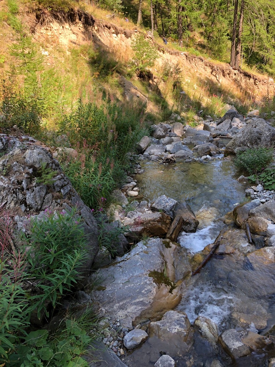 Frankreich - La Salle-les-Alpes - 