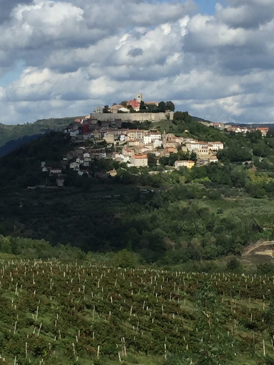 Kroatien - Motovun - Motovun
